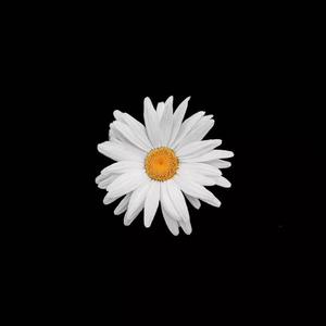 亚洲色欲一区二区三区
